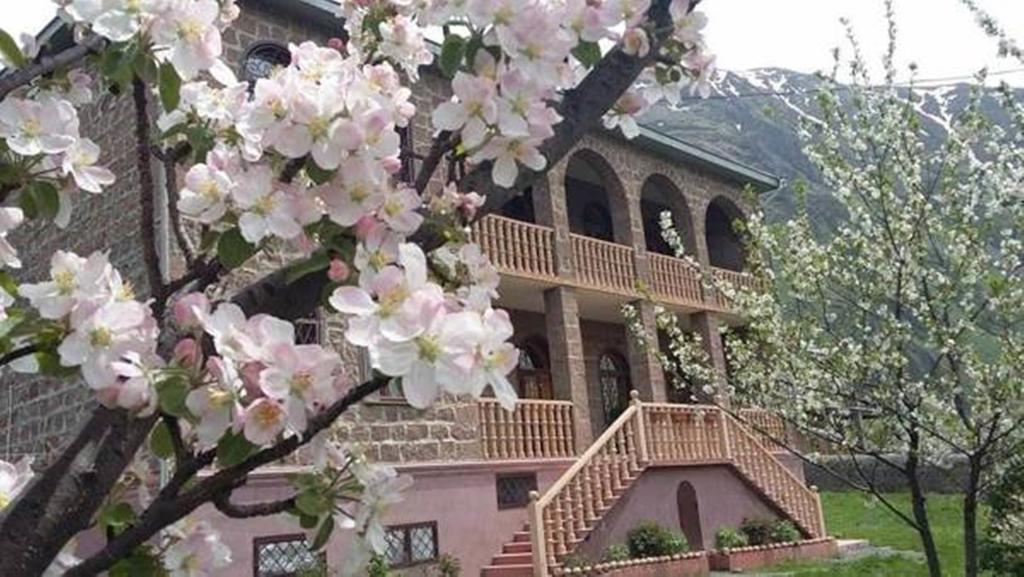 Max Hotel Gogi Alibegashvili Kazbegi Kültér fotó