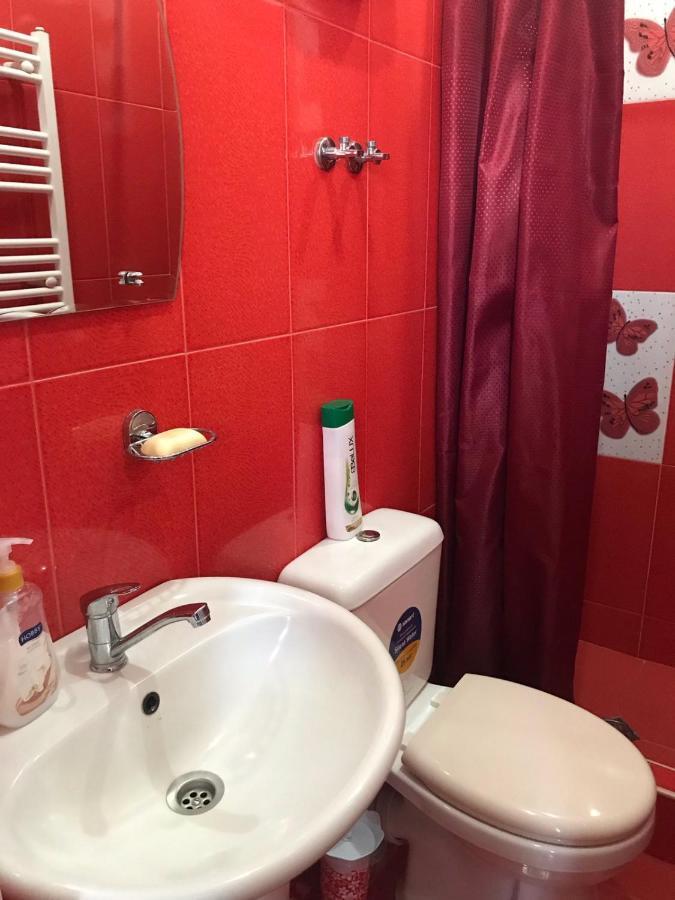 Max Hotel Gogi Alibegashvili Kazbegi Kültér fotó