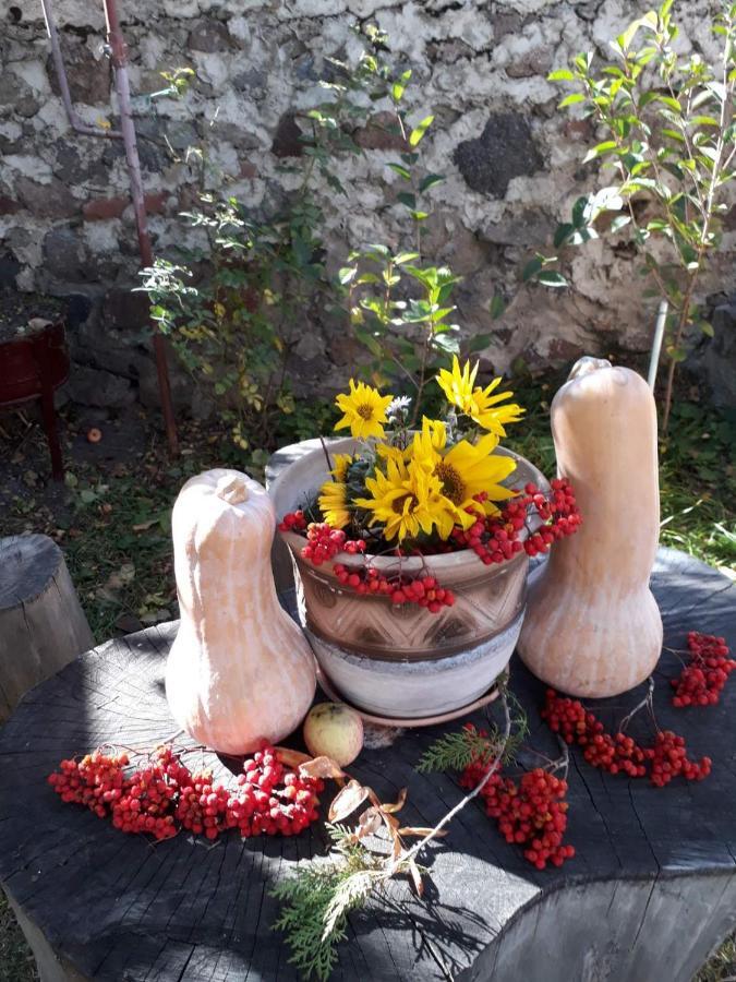 Max Hotel Gogi Alibegashvili Kazbegi Kültér fotó