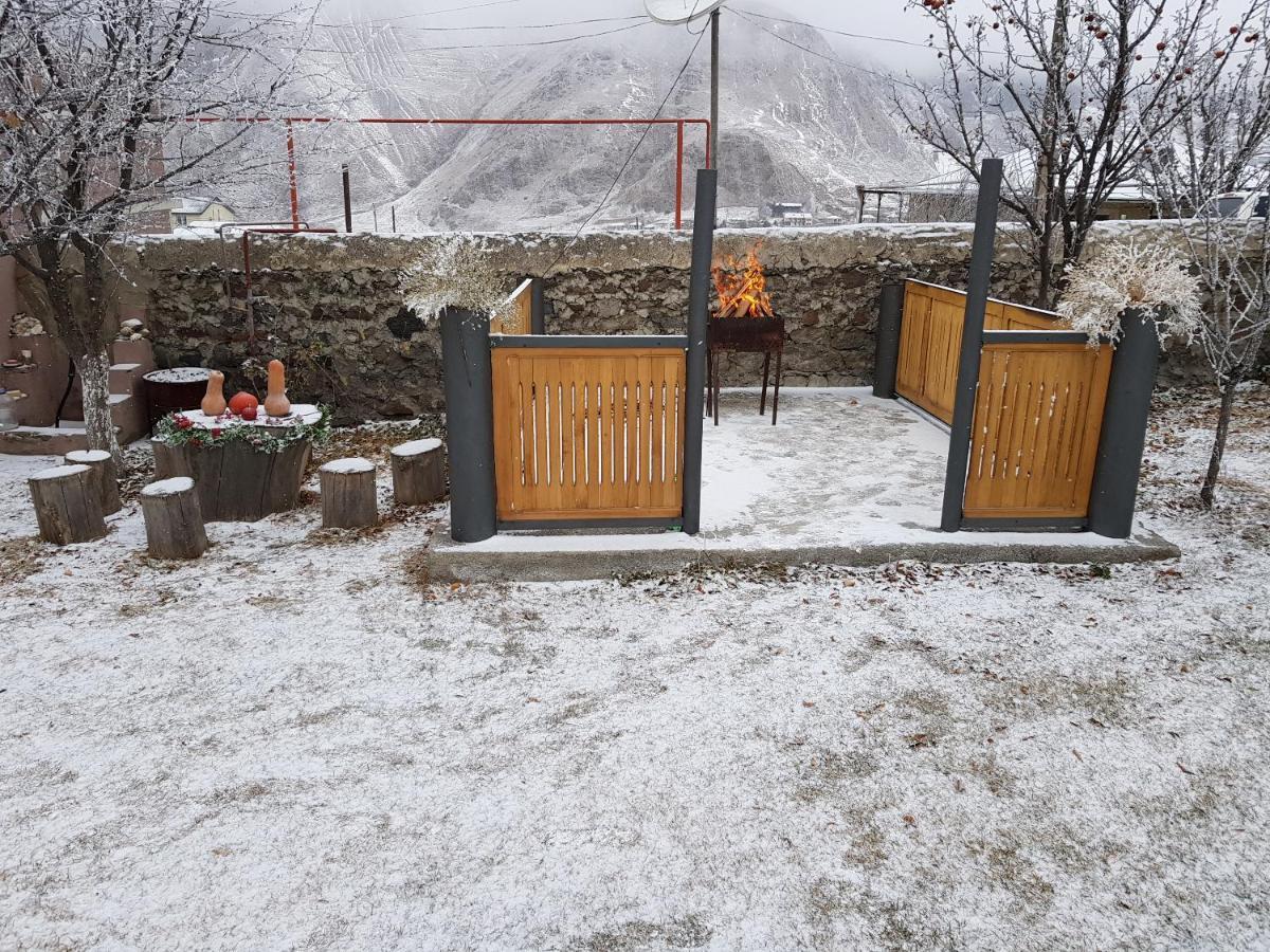 Max Hotel Gogi Alibegashvili Kazbegi Kültér fotó